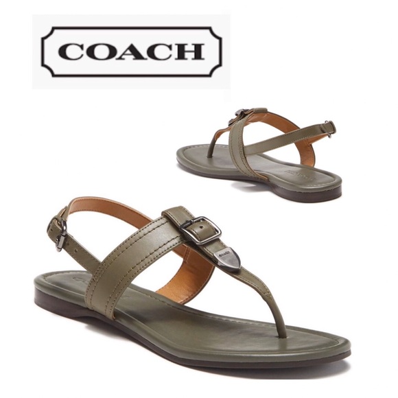 Coach Shoes - Olive COACH Leather T-Strap Thing Sandal NIB 8.5